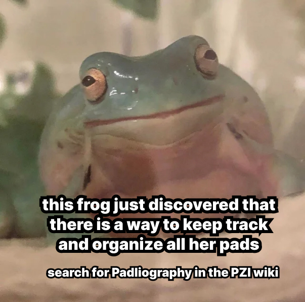 frog 2